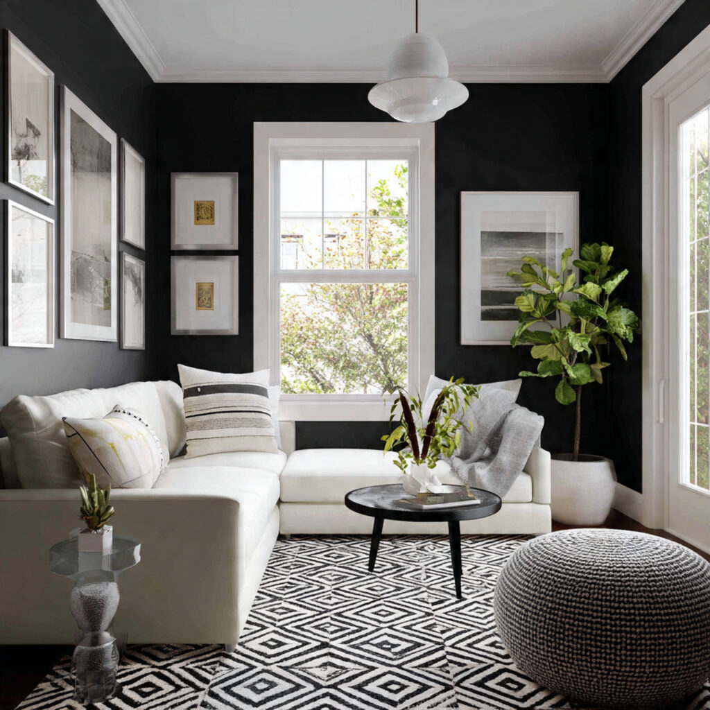 High-Contrast Compact Living Room Idea