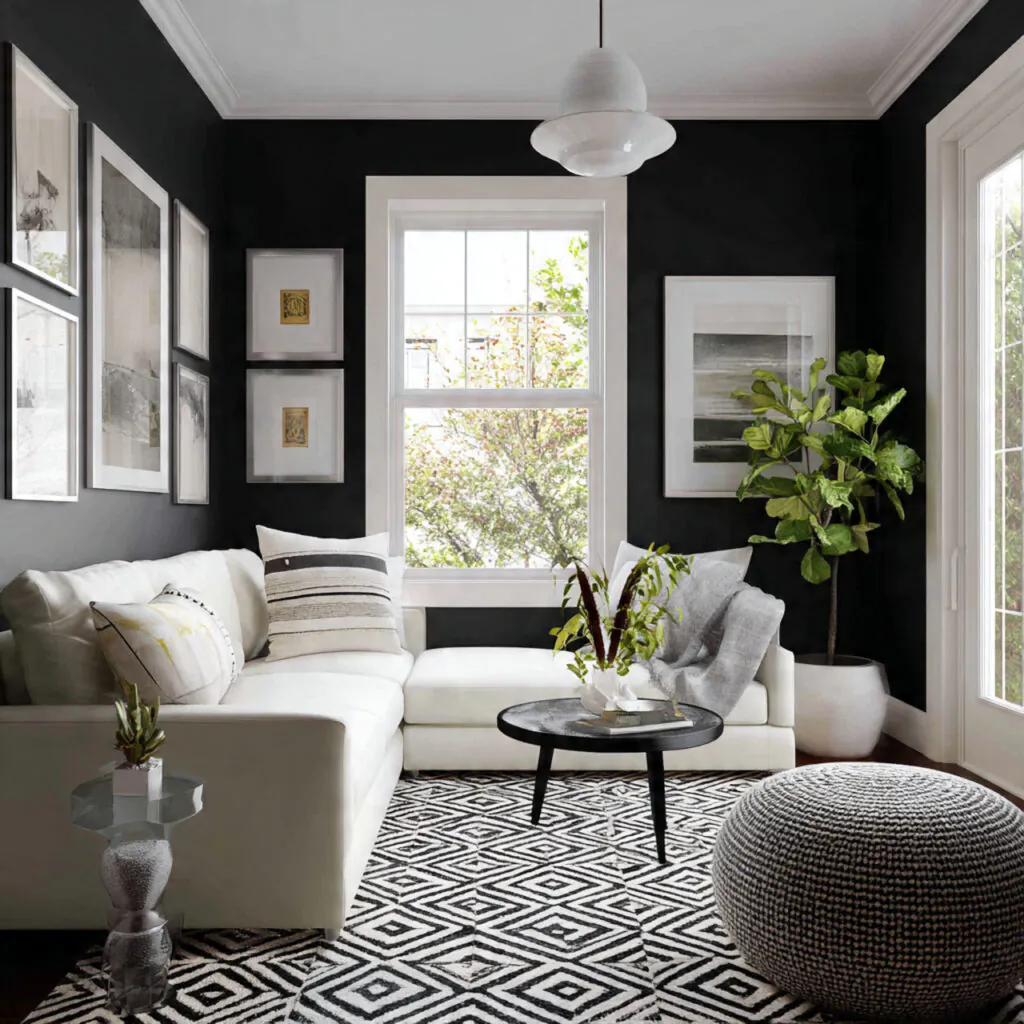 High-Contrast Compact Living Room Idea